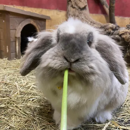 Tirol Im Oetztal * 엄하우젠