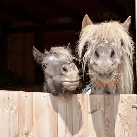 Tirol Im Oetztal Umhausen