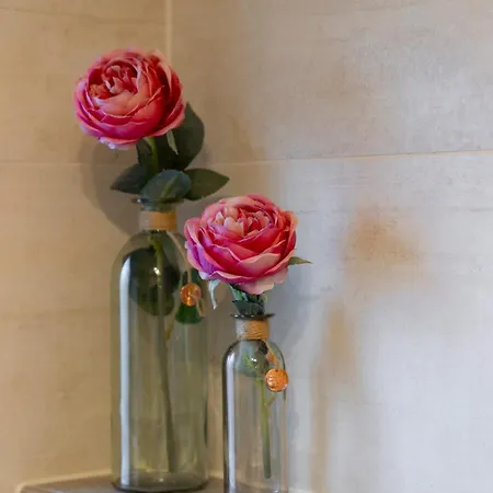 Dağ evi Tirol Im Oetztal